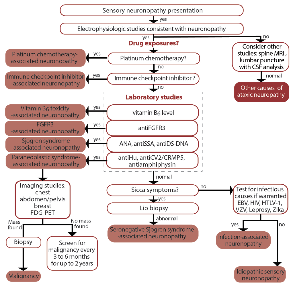 Neuromuscular Notes: Neuronopathies - Practical Neurology