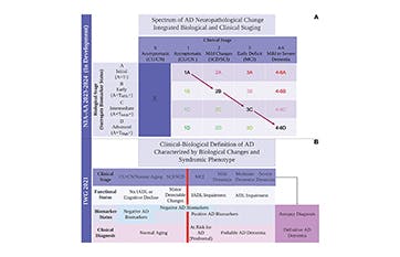 Blood-Based Biomarkers in Alzheimer Disease: Clinical Implementation ...