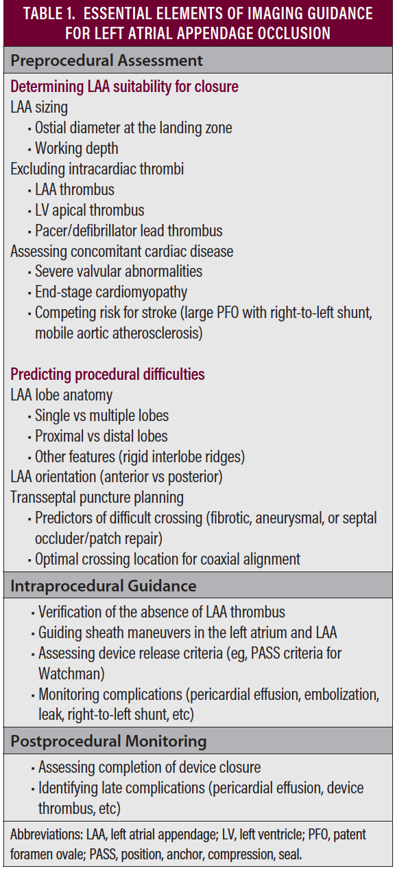 What I Wish My Imager Would Teach Me About LAA - Cardiac Interventions ...