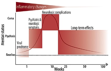 Nmda n-methyl-d-aspartate receptor best sale