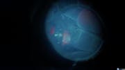 Wed AMD