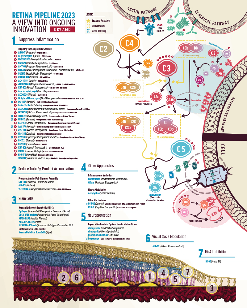 Retinal Imaging Pipeline Updates - Retina Today