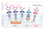 EYP1901 Mechanism of Action