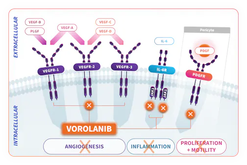 EYP1901 Mechanism of Action