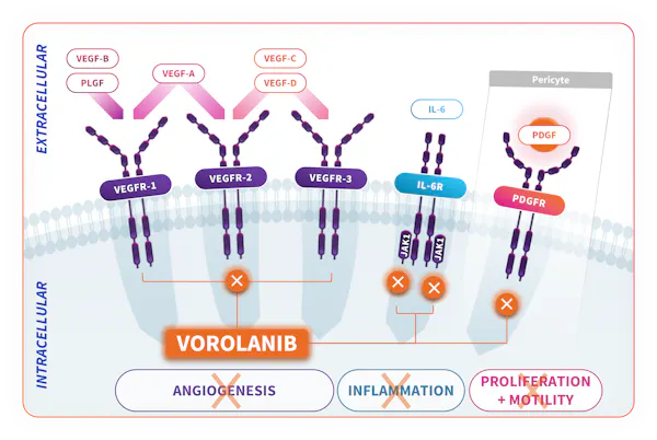 EYP1901 Mechanism of Action thumbnail