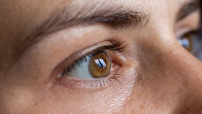 Accessing the Gift of Sight image