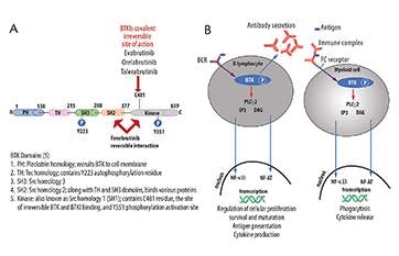 Lessons Learned from Trial Replication Analyses: Findings from the