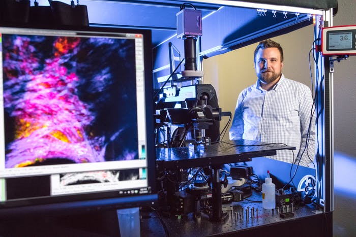 University of Arkansas Researcher Scores $1.6M NIH Grant for Research on Chronic Skin Wounds image