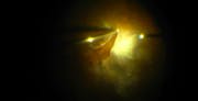 Viscodissection for Tractional Retinal Detachment