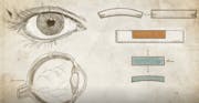 The Frozen Cornea Affair