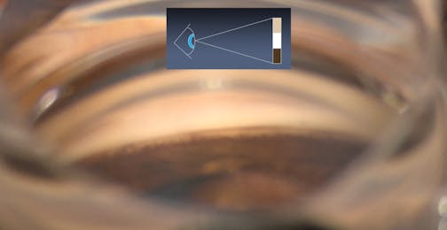 Obtaining an En Face View