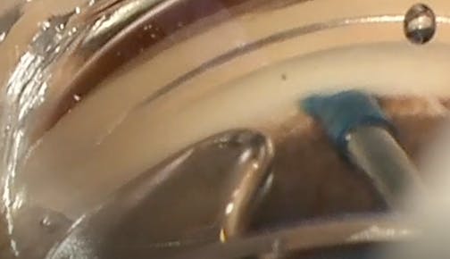 Streamline: See the Wave