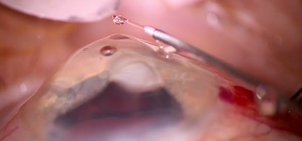 Shear Thinning of Viscoelastic thumbnail