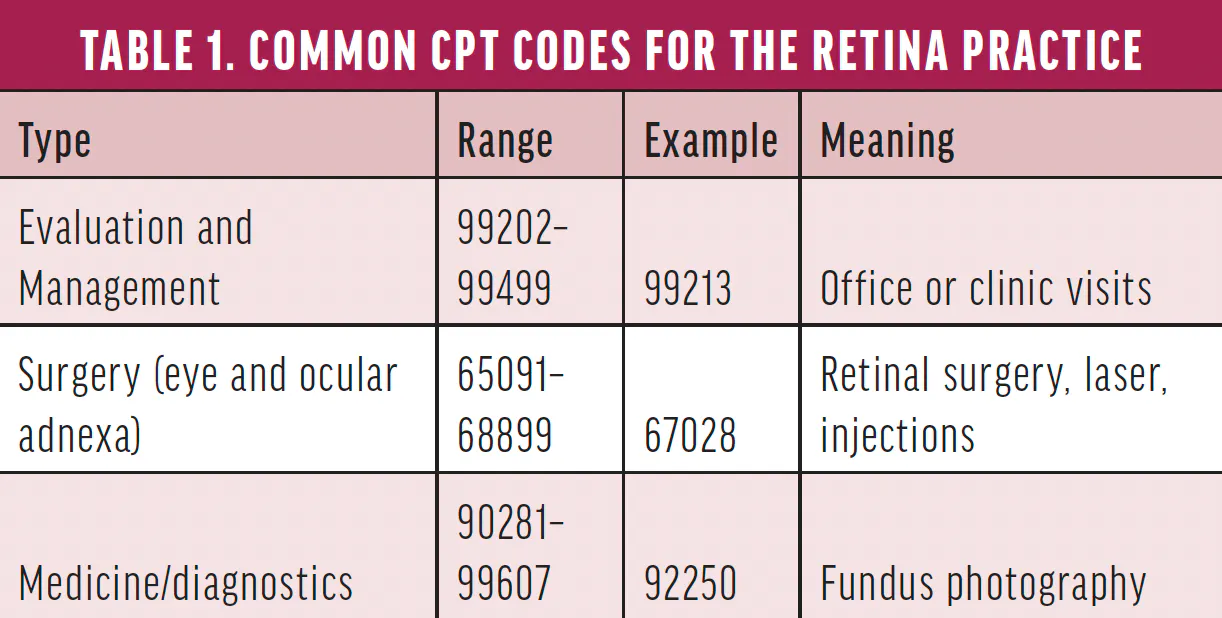 Retina Coding Crash Course - Retina Today
