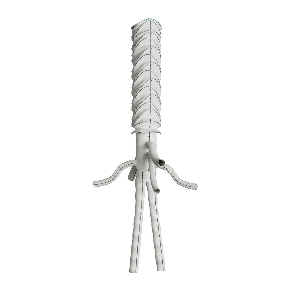 Terumo Aortic’s ThoracoFlo Hybrid Device Used in First North American