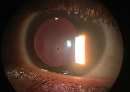 Urgent or Emergent? image