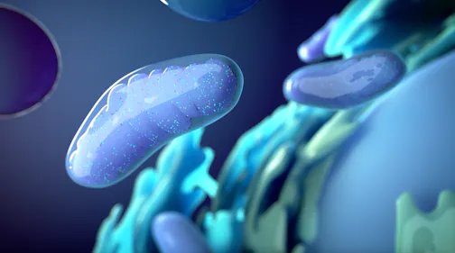 Valeda Photobiomodulation Mechanisms of Action