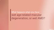 What Is Wet Age-Related Macular Degeneration?