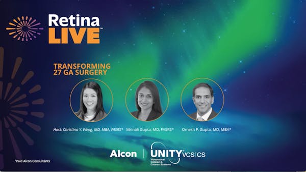 Spotlight on UNITY<sup>&reg;</sup> VCS Dynamic Stiffener 27+ thumbnail