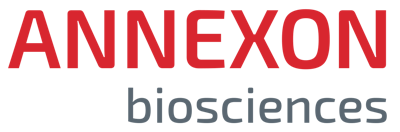 Annexon Presents New Neuroprotection Data Showing ANX007 Protects Vision and Vision-Associated Structures in GA image