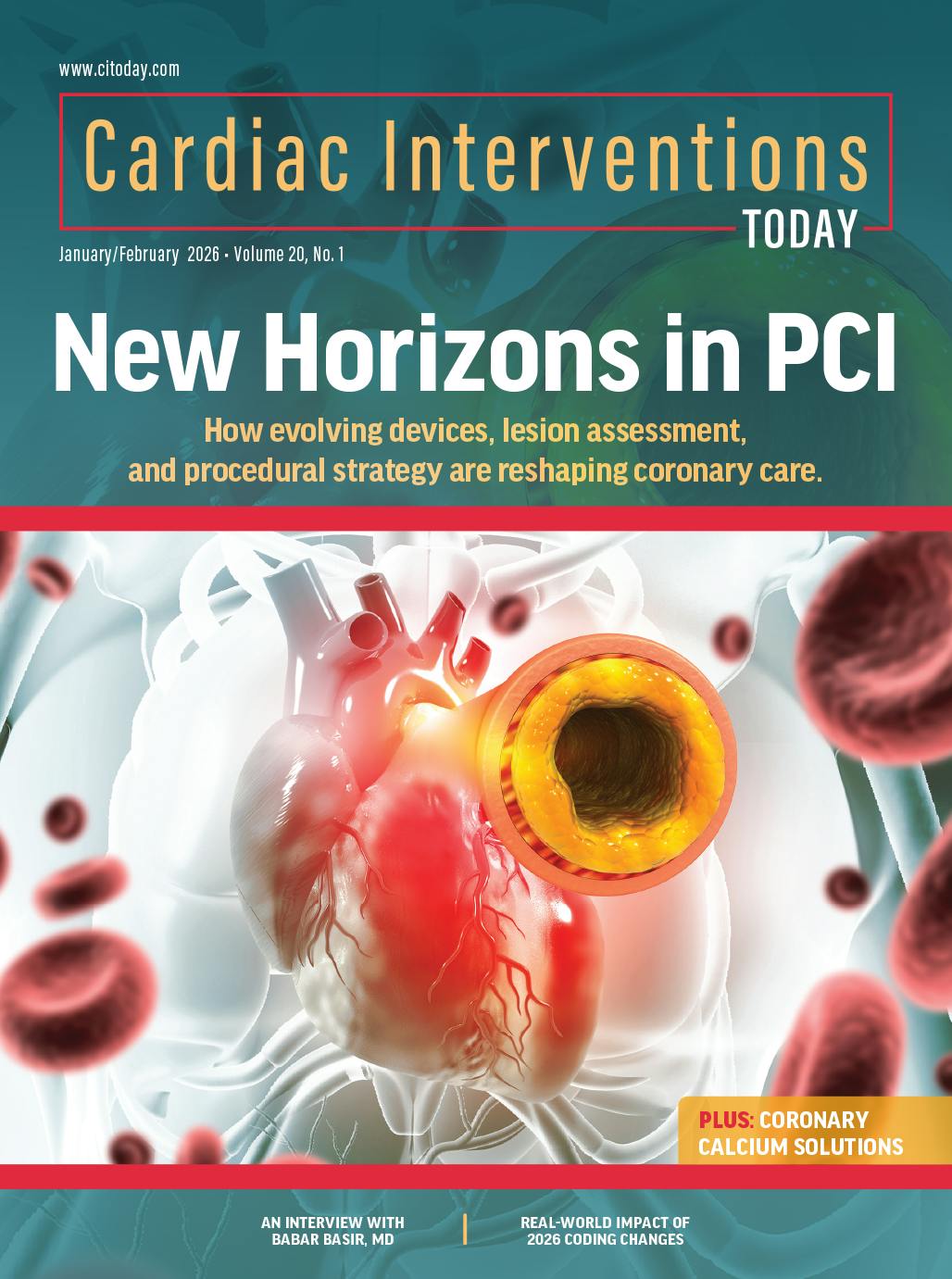 CathWorks FFRangio System Compared to Invasive Wire-Based FFR in ...