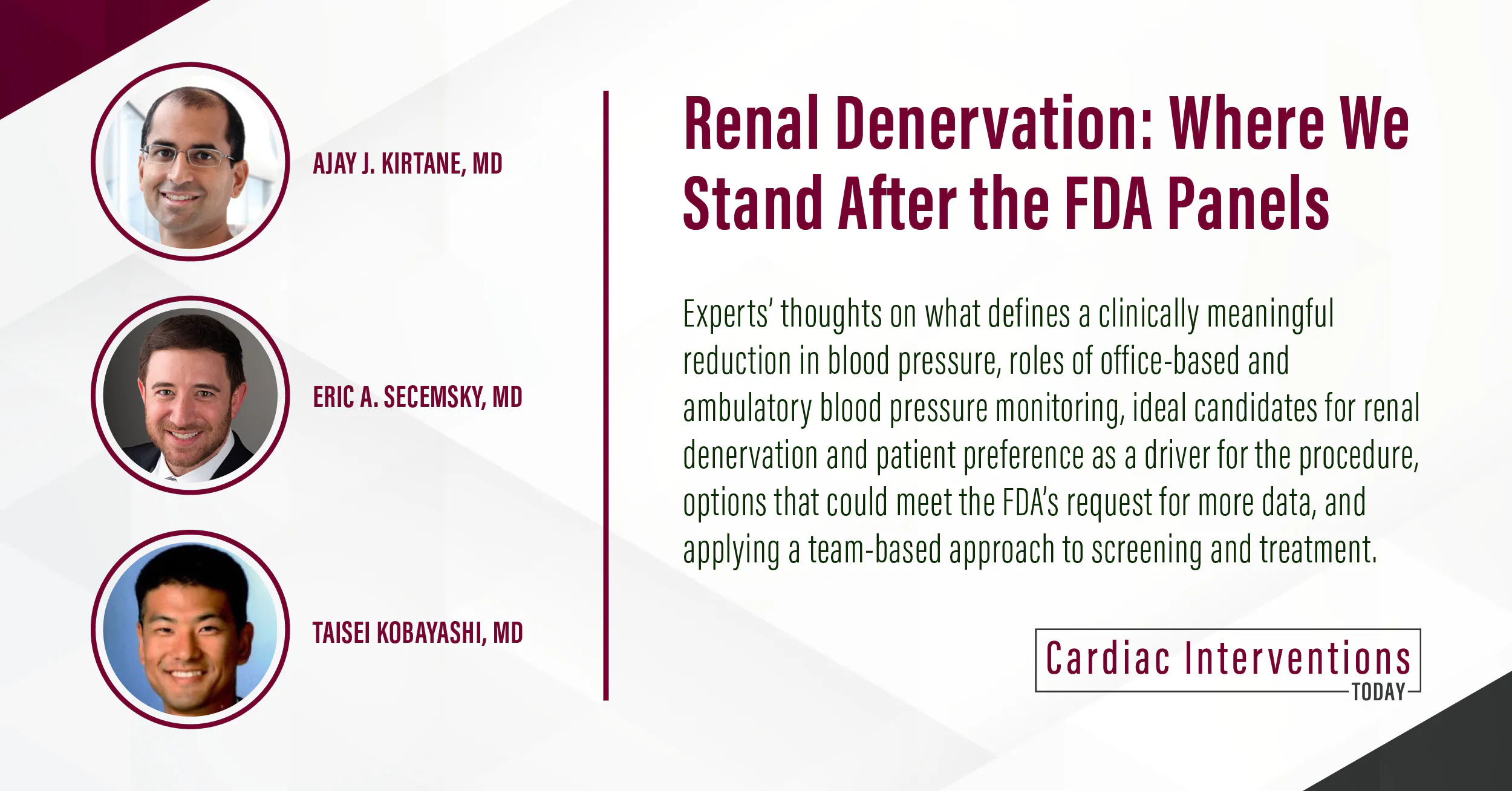Renal Denervation: Where We Stand After the FDA Panels - Cardiac ...