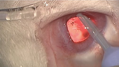 Hydrogen Will Change the World of Ophthalmology