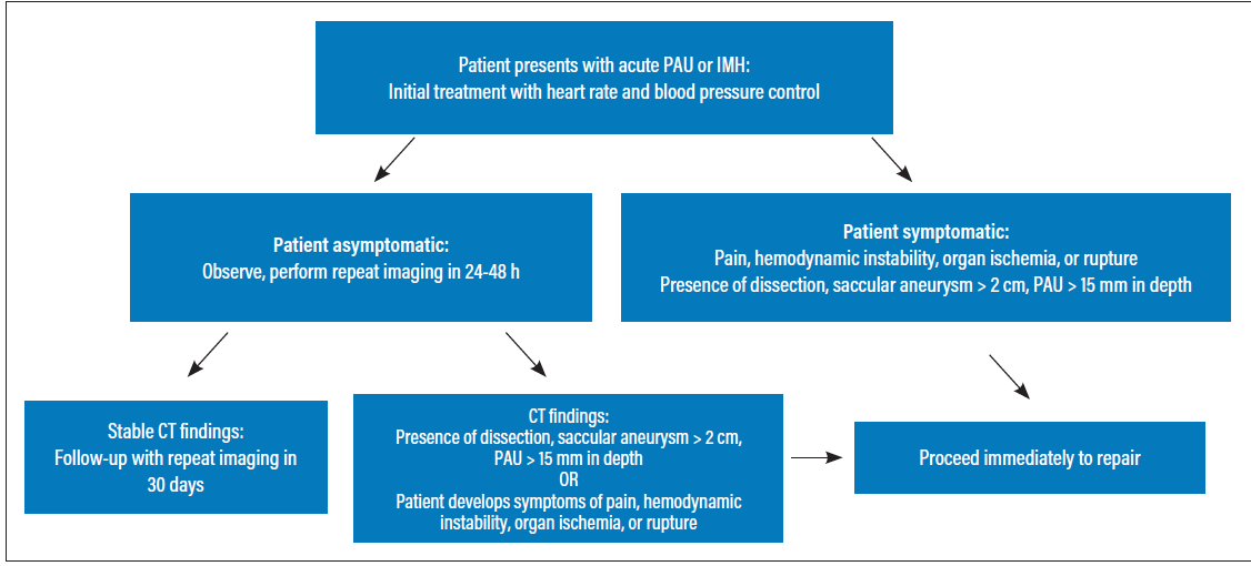 Aortic Intramural Hematomas And Penetrating Aortic Ulcerations 