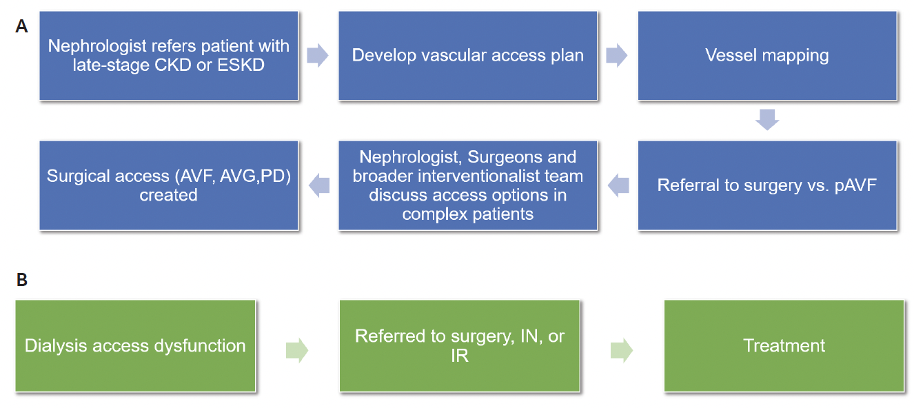 Improving ESRD Patient Outcomes: Perspectives From Two ...