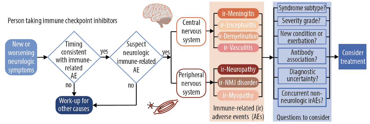 Immune Checkpoint Inhibitor Neuromuscular Complications Practical