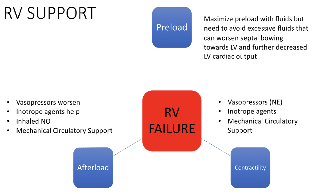 Managing Right Ventricular Failure in Pulmonary Embolism Cardiac