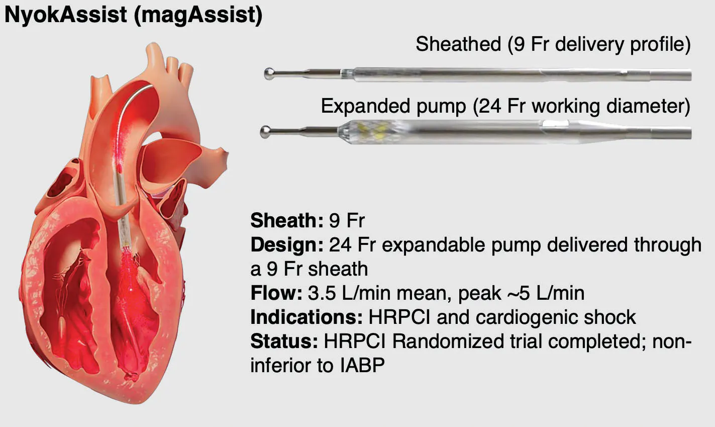 Next-Generation Temporary Mechanical Circulatory Support for High-Risk ...