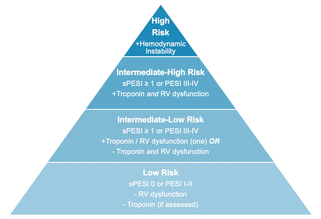Npe Risk Matrix Pulmonary Embolism Risk Stratification: Progress, Gaps, and the Path ...