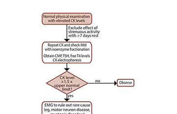 high creatine kinase levels meaning