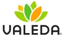 Valeda Block Logo